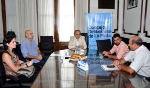 Confirman que las aves que invadieron La Plata no transmiten enfermedades