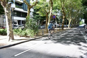 La Plata proyecta sumar más kilómetros de bicisendas y ciclovías