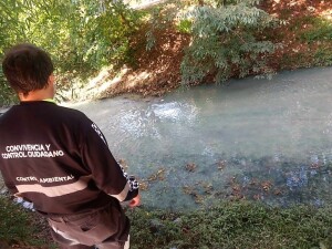 Imputan al Frigorífico de Gorina por contaminar el arroyo Rodríguez